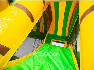 Lion King Bounce House Combo with Slide commercial attraction view