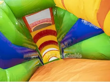 Lion King Jumper Rental commercial attraction view
