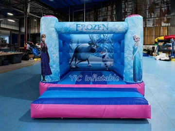 frozen themed inflatable jumper detail view