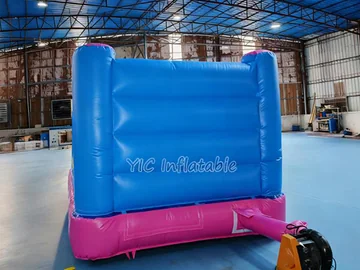 frozen themed inflatable jumper detail view