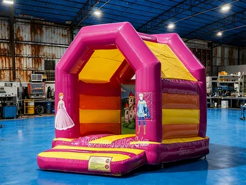 princess themed inflatable jumper detail view