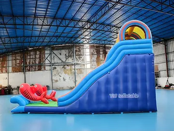 custom standalone inflatable slide detail view