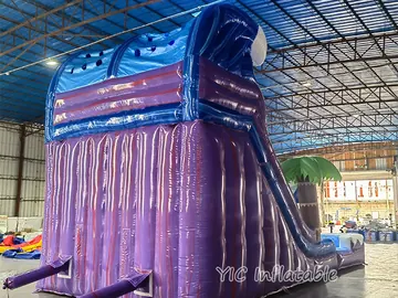 custom inflatable water slide attraction detail view