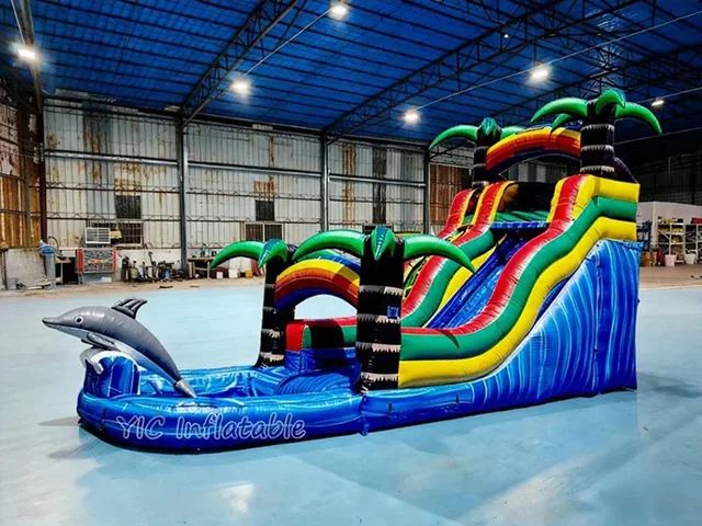 Doctor Dolphin Inflatable Water Slide product image