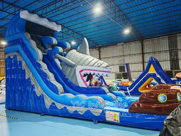 Shark Mouth Water Slide with Pool side slide view